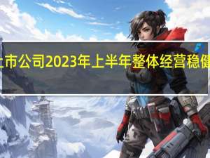 北交所上市公司2023年上半年整体经营稳健九成实现盈利