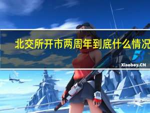 北交所开市两周年 到底什么情况嘞