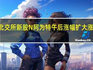 北交所新股N阿为特午后涨幅扩大涨超500%