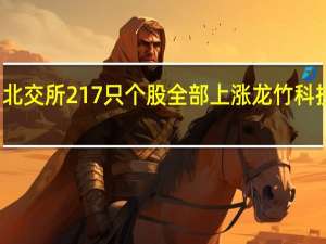 北交所217只个股全部上涨 龙竹科技涨停