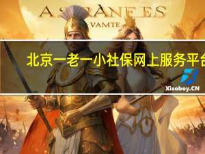 北京一老一小社保网上服务平台（北京一老一小保险网上服务平台）