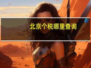 北京个税哪里查询（北京个税查询个人账户）