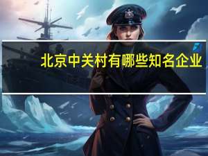 北京中关村有哪些知名企业
