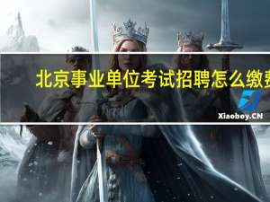 北京事业单位考试招聘怎么缴费