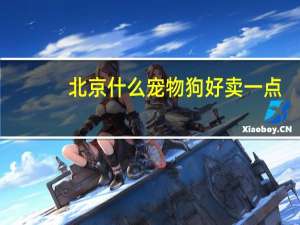 北京什么宠物狗好卖一点