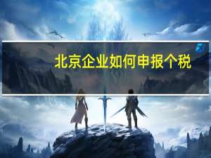 北京企业如何申报个税