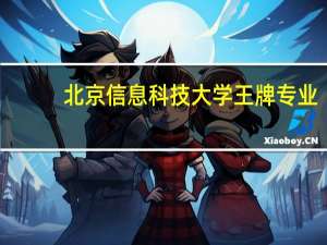 北京信息科技大学王牌专业
