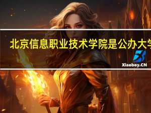 北京信息职业技术学院是公办大学吗