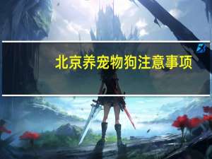 北京养宠物狗注意事项