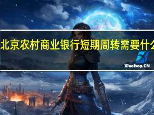 北京农村商业银行短期周转需要什么资料