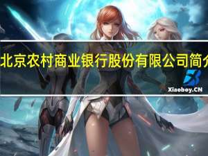 北京农村商业银行股份有限公司简介电话（北京农村商业银行股份有限公司简介）