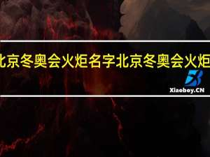 北京冬奥会火炬名字 北京冬奥会火炬的简介