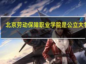 北京劳动保障职业学院是公立大学吗