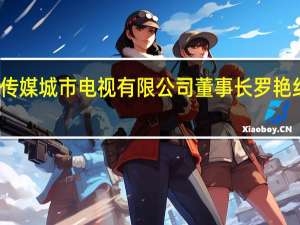 北京北广传媒城市电视有限公司董事长罗艳红接受审查调查