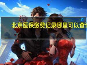 北京医保缴费记录哪里可以查询