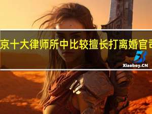 北京十大律师所中比较擅长打离婚官司的律师，性价比高的有哪些