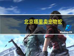 北京哪里卖宠物蛇