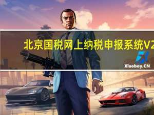 北京国税网上纳税申报系统 V2.0 官方正式版（北京国税网上纳税申报系统 V2.0 官方正式版功能简介）