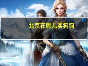 北京在哪儿买狗狗