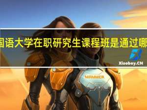 北京外国语大学在职研究生课程班是通过哪种类型报考的