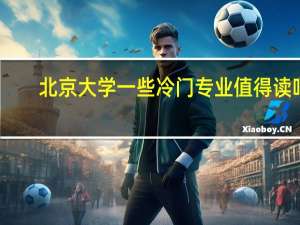北京大学一些冷门专业值得读吗