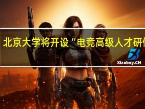 北京大学将开设“电竞高级人才研修班”，什么是“研修课”
