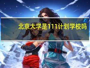 北京大学是111计划学校吗