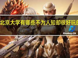 北京大学有哪些不为人知却很好玩的地方