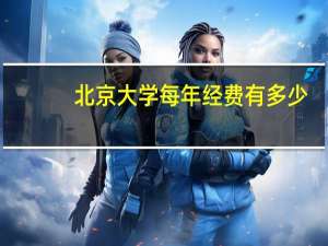 北京大学每年经费有多少
