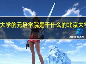 北京大学的元培学院是干什么的 北京大学元培学院