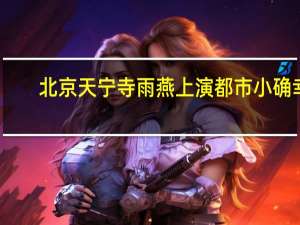 北京天宁寺雨燕上演都市小确幸