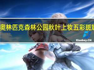 北京奥林匹克森林公园秋叶上妆 五彩斑斓美不胜收