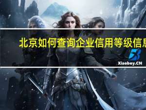 北京如何查询企业信用等级信息（北京如何查询企业信用等级）