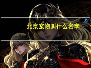 北京宠物叫什么名字
