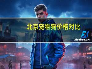 北京宠物狗价格对比