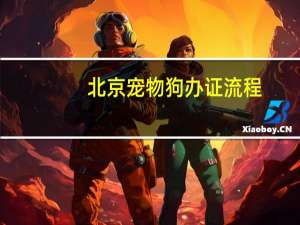 北京宠物狗办证流程