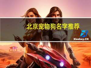 北京宠物狗名字推荐