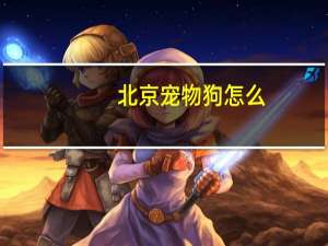 北京宠物狗怎么