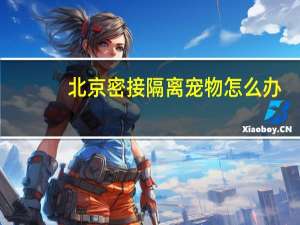 北京密接隔离宠物怎么办