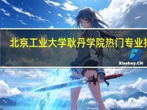 北京工业大学耿丹学院热门专业排名