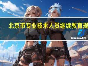 北京市专业技术人员继续教育规定