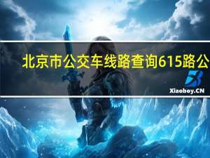 北京市公交车线路查询615路公交（北京市公交车线路查询）
