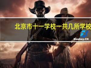 北京市十一学校一共几所学校