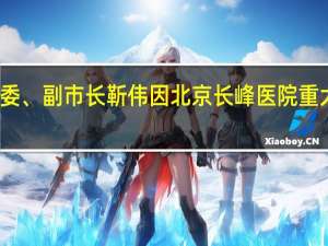 北京市委常委、副市长靳伟因北京长峰医院重大火灾事故被问责