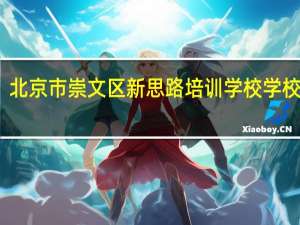 北京市崇文区新思路培训学校学校荣誉