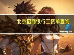 北京招商银行工资单查询（招商银行工资单查询）