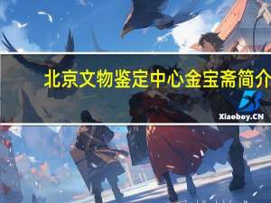 北京文物鉴定中心金宝斋简介（北京文物鉴定中心）