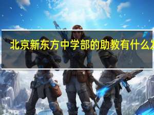 北京新东方中学部的助教有什么发展