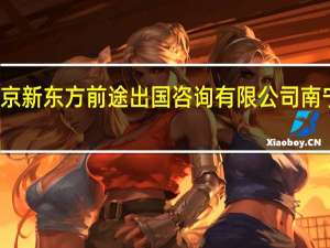 北京新东方前途出国咨询有限公司南宁分公司（北京新东方前途出国咨询有限公司）