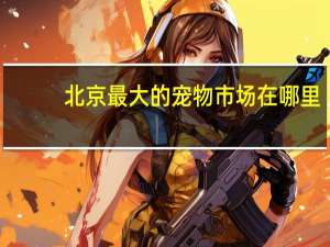 北京最大的宠物市场在哪里